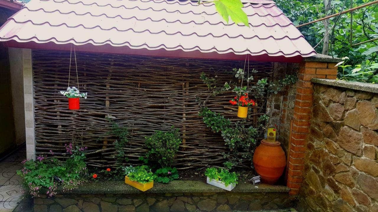 Green House In Batumi Luaran gambar